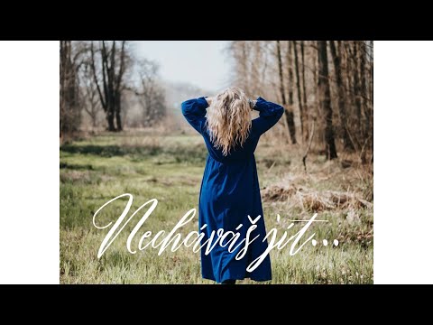 Youtube Video hGT9aWwn-74