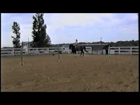 download lagu mp3 mp4 Charlton Fencing, download lagu Charlton Fencing gratis, unduh video klip Charlton Fencing