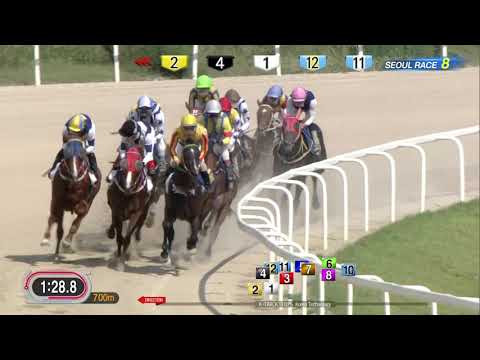 [ENG] 2019 Sport's Chosun Cup(L)