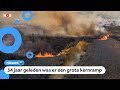 Bosbranden in de buurt van beroemde kerncentrale