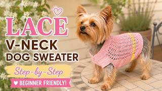 DIY KNIT LACE Dog Summer Sweater, Beginner-friendly, step by step