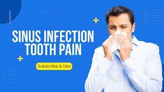 Sinus Infection Tooth Pain: 5 Helpful Home Treatments