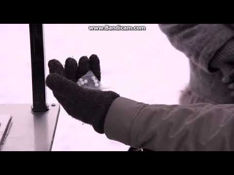 Salkkarit jakso 3202 osa 1