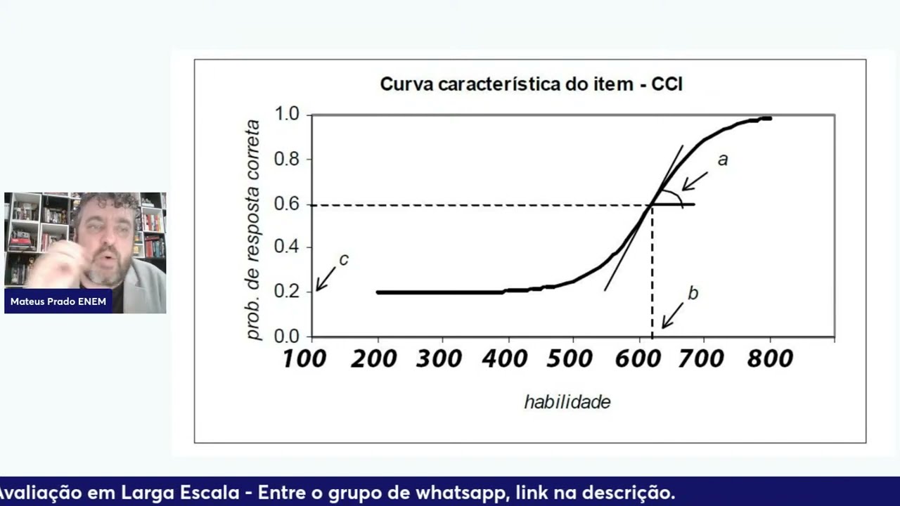 TRI - Entenda a Curva Característica do ITEM.