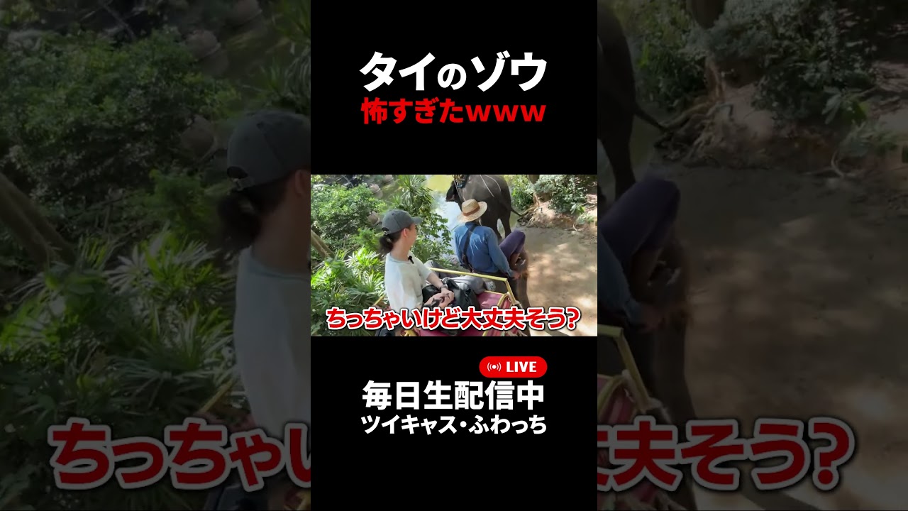 タイでゾウ乗ったけど違う意味でコワイｗｗｗ　#タイ #Vlog #ゾウ