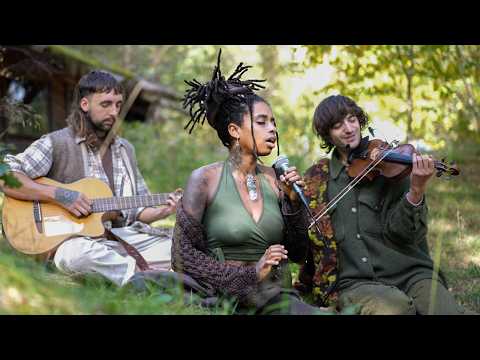 Softening into Change (1hr) - Soothe #Anxiety + Calm Your Nervous System - #528hz  Healing Frequency