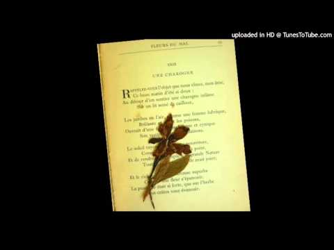 Today's Tango Is... Lagrimas y Flores - Orquesta Los Provincianos 08-07-1931