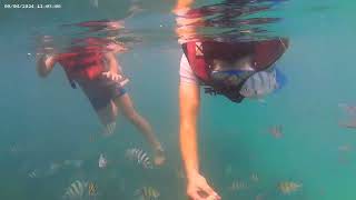 snorkelling at Bintan @touristguide5