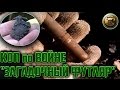 Коп монет Фартовый коп и новый рекорд, поиск монет разных эпох в лесу Бантыша 