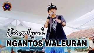 Download lagu Ngantos Waleuran - Oni aprak || Cipt.Ujang Coplox || CoverLive Panggung || Versi Bajidor mp3 Download lagu Ngantos Waleuran - Oni aprak || Cipt.Ujang Coplox || CoverLive Panggung || Versi Bajidor mp3