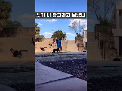 누가 나 담그라고 보냈니? #mtb #cycling