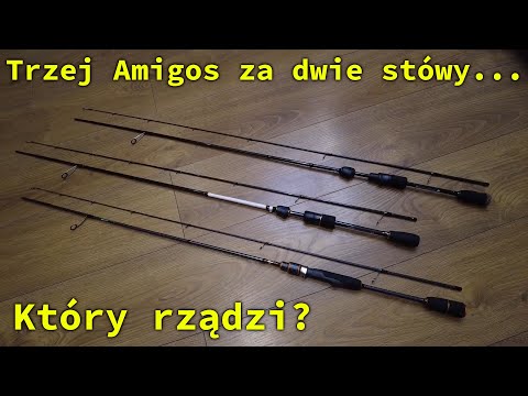 Szczegółowe porównanie trzech budżetowych okoniówek z naszego rynku. Summum vs Lexus vs CityLiner...
