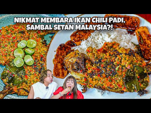 NIKMAT PAKE NASI ANGET?! IKAN CHILI PADI, SAMBAL SETAN ASAL MALAYSIA BIKIN KELOJOTAN?!
