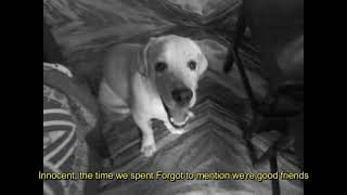 Porcupine tree Start of Something Beautiful ( Lyrics)