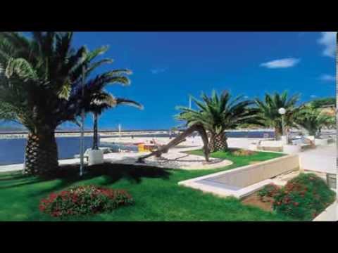 Video Image