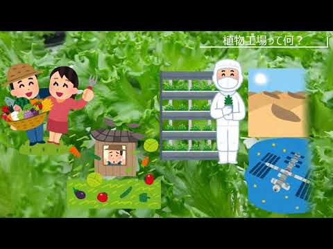 【山口大学HCD2020／農学部】植物工場の紹介