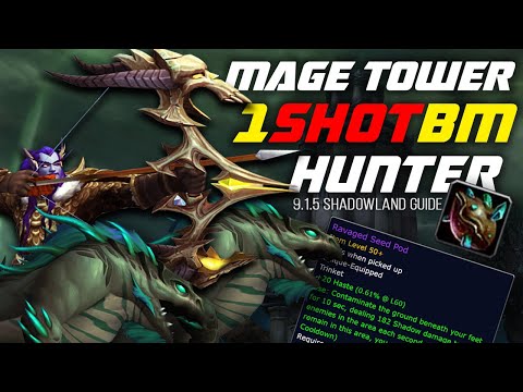 Beast Mastery Hunter 9.1.5 | Mage tower guide | Legion Timewalking