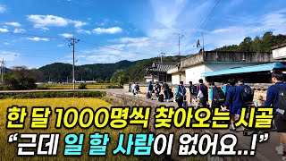회사 때려치고 고향 돌아와 시작한 체험마을, 손님이 미친듯이 찾아오기 시작한 이유