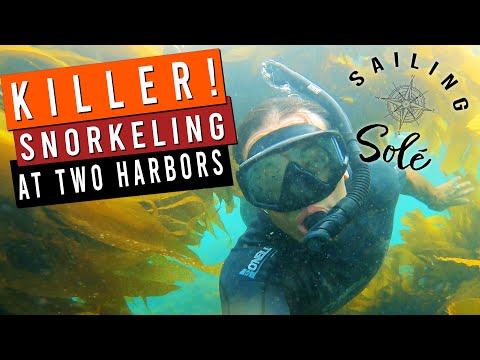 EP19 - KILLER! Snorkeling at TWO HARBORS | Solo Sailing CATALINA