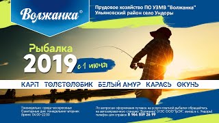 Ульяновск волжанка горшков