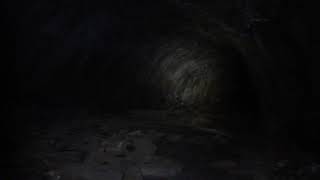 preview picture of video 'Lava river cave, Flagstaff'