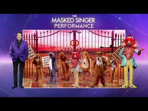 Robin Performs "Rockin' Robin" By Michael Jackson | Season 2 Ep. 5 | The Masked Singer UK