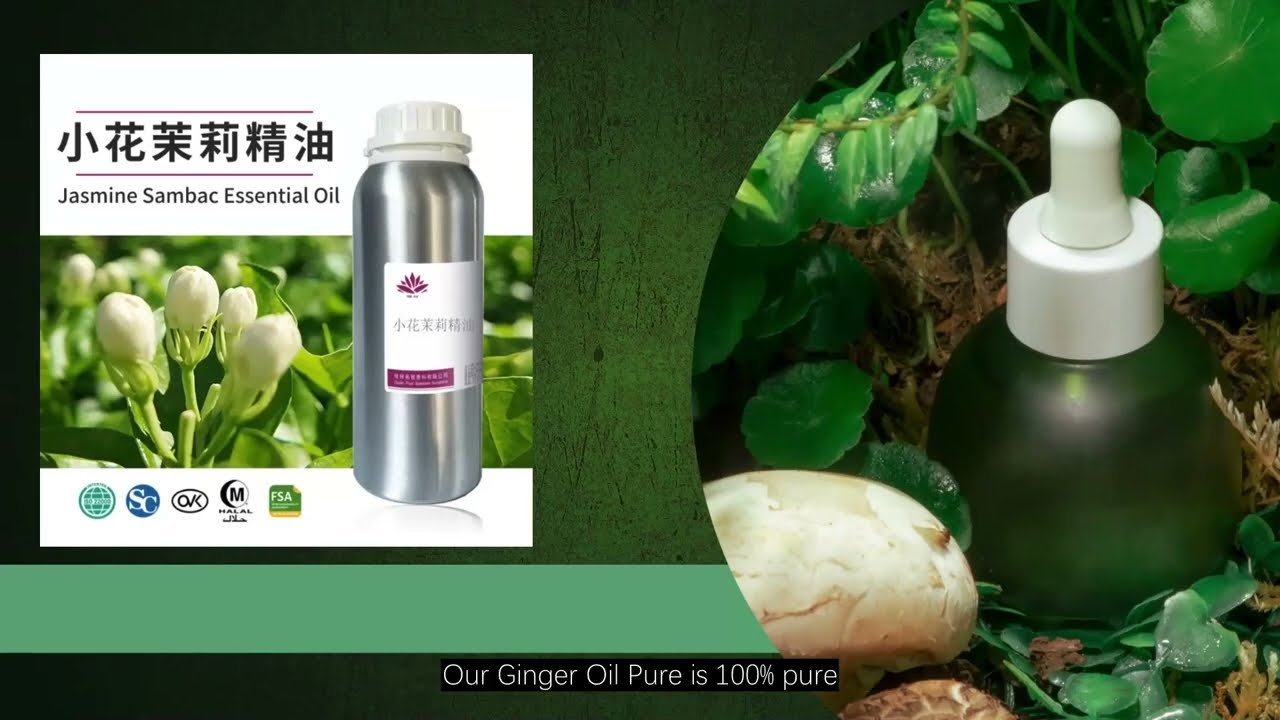 Ginger Oil Pure C 100% Natural, High-Quality & Wholesale