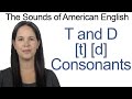 English Sounds - T [t] and D [d] Consonants - How to make the T and D Consonants