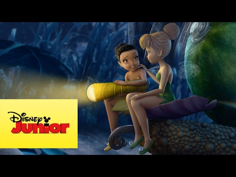 Disney Fadas - Pozinho Mágico