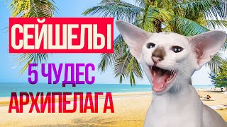 Стоимость рыбалки на сейшелах в октябре