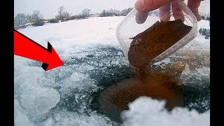 Как приготовить приманку для зимней приманки