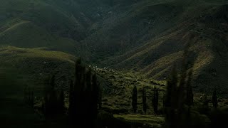 Cazzu - Que Disparen (Visualizer)