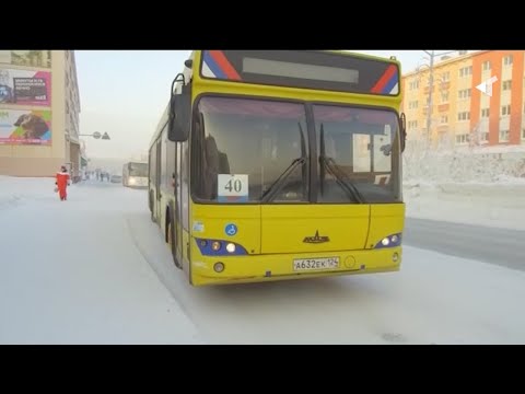 19.02.21. «Новости Северного города». Идеальный транспорт. «Норникель» LIVE. Крест науки