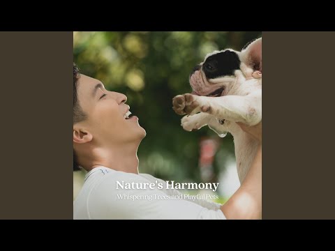 The Cricket's Cadence