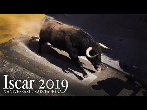 Toros Bravos Iscar 2019
