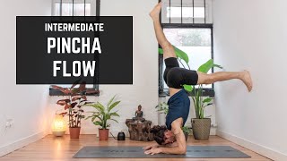 Pincha Flow - Forearm Stand Vinyasa