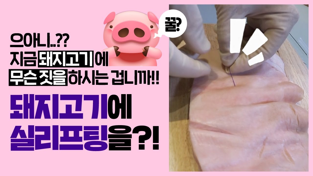 얼굴 실리프팅 실제 실로 돼지고기를 리프팅 하다?!