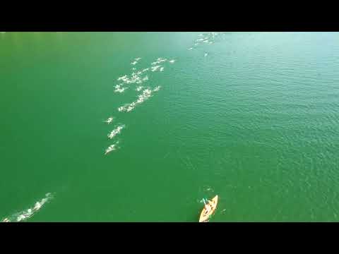 Il Miglio Idroswim 2019