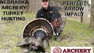 preview picture of video 'Bow hunt NE Turkey PERFECT SHOT & IMPACT'