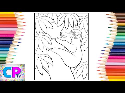 Sloths Coloring Pages/Wild Animals Coloring Pages/Diviners - Savannah (feat. Philly K) [NCS Release]