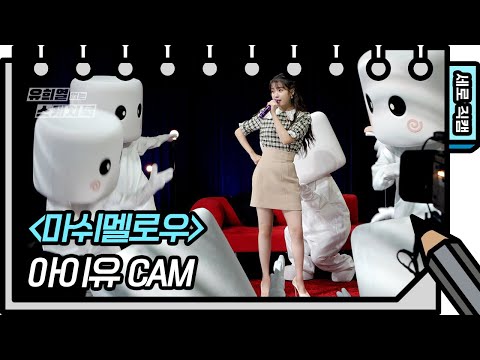 아이콘