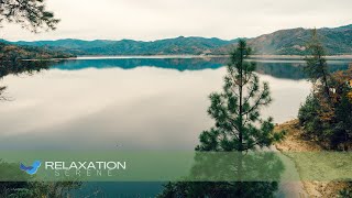 Music to Balance Energies and Relax Meditate