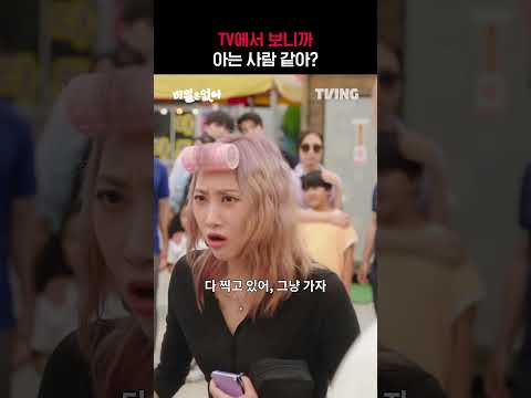 비디오 5