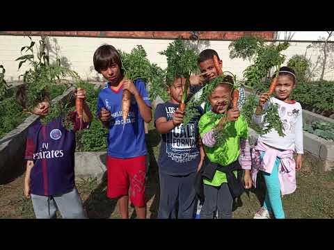 https://www.youtube.com/watch?v=hGbbc-6lZZ4&t=3s