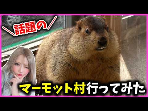 【話題】マーモット村で癒されてきました【お出かけ】