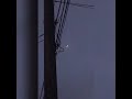 Crescent moon visible from low clouds