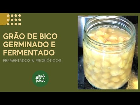 GRÃO DE BICO PROBIÓTICO E  FERMENTADO, COMO FAZER  - GRÃO DA FELICIDADE