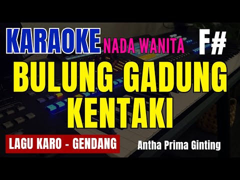 BULUNG GADUNG KENTAKI (GENDANG) || KARAOKE LAGU KARO || ANTA PRIMA GINTING || NADA WANITA F# = DO