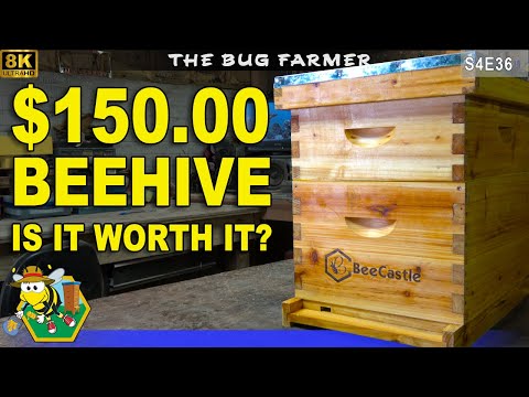Bee Castle Beehive Kit | Become a beekeeper for $150.00   #beekeeping #bees