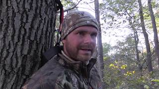 Allen&#39;s October Lull